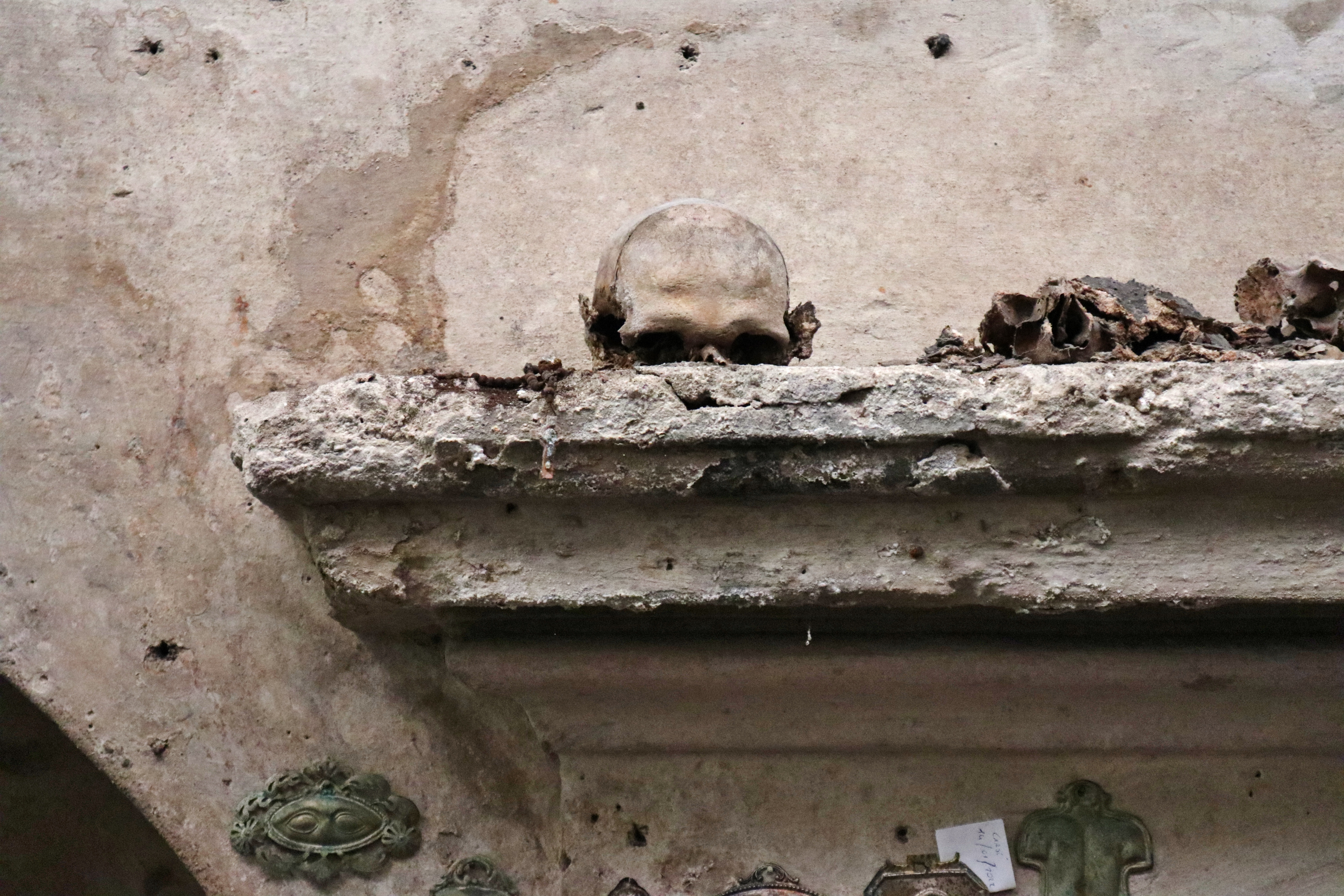 Teschio con le orecchie nella cripta della Chiesa di Santa Luciella