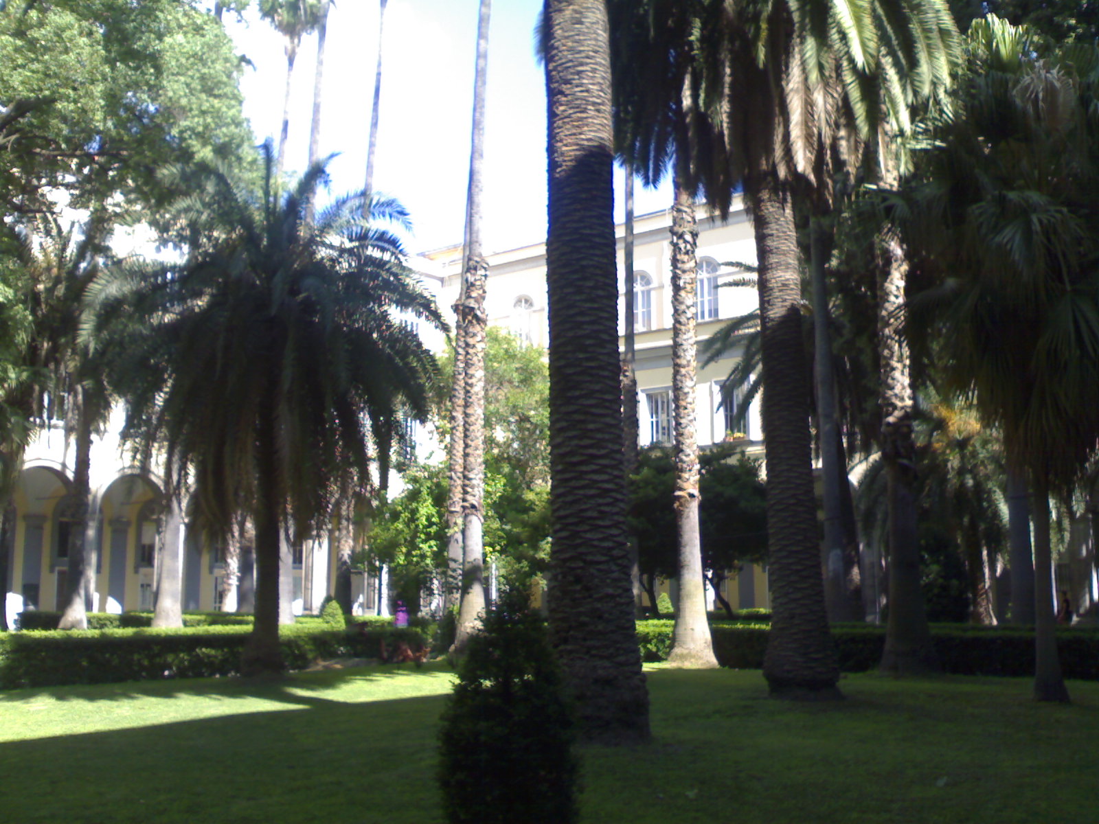 Church of Sant’Andrea delle Dame