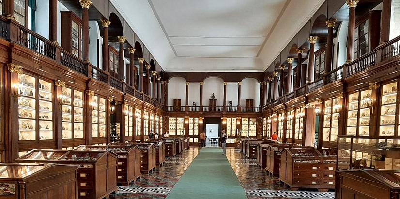 Centro Musei delle Scienze Naturali e Fisiche